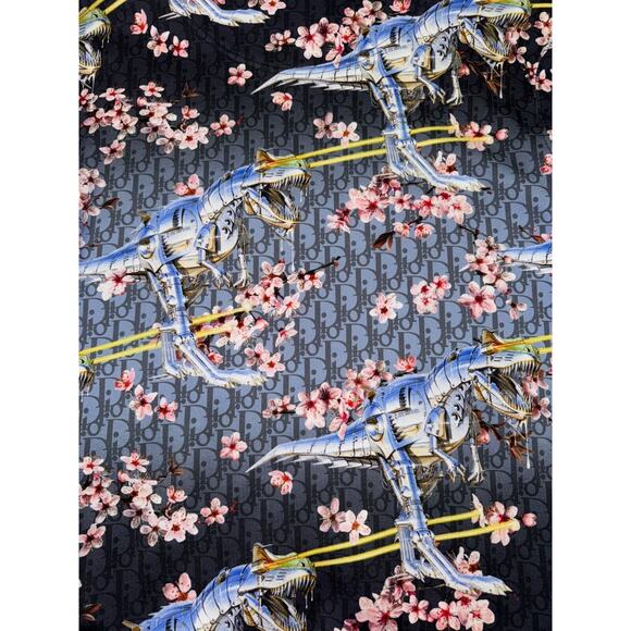 Dior x Sorayama Kim Jones Dinosaur Cherry Blossom Oblique Logo Hoodie M Medium - Picture 12 of 16